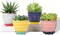 Set of 4 Ceramic Succulent Pots with Drainage Hole & Saucer - 4.6 Inch, Assorted Colors